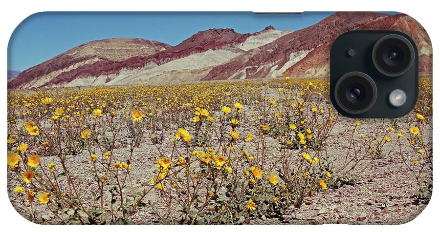 Tom Daniel iPhone Case featuring the photograph Desert Gold Super Bloom by Tom Daniel