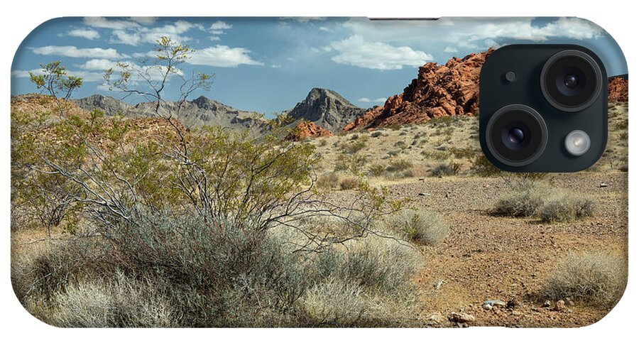 Landscape iPhone Case featuring the photograph Desert Survivor by Craig A Walker