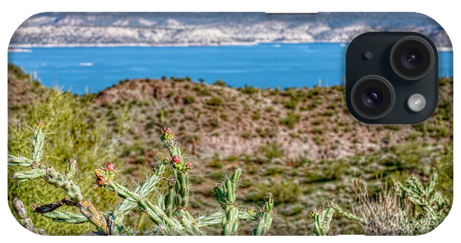 Desert iPhone Case featuring the photograph Dessert Lake View by Pamela Dunn-Parrish