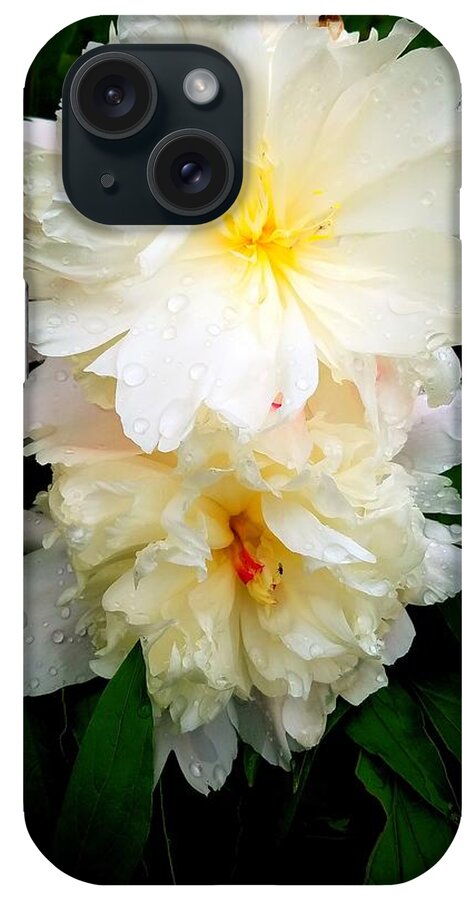 Flower iPhone Case featuring the photograph Dew Drops on White Peonies by Amanda Rae