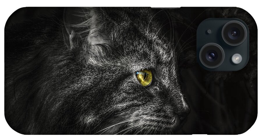 Cat iPhone Case featuring the photograph Dexter 2 by Jaroslav Buna