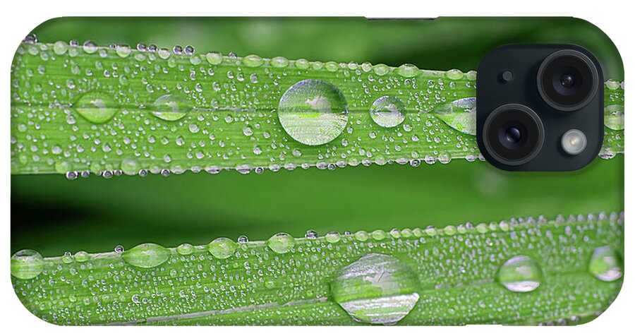 Lily iPhone Case featuring the photograph Diamond Droplets by Kathi Mirto