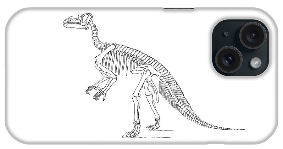 Dino iPhone Case featuring the digital art Dinosaur bones by Madame Memento