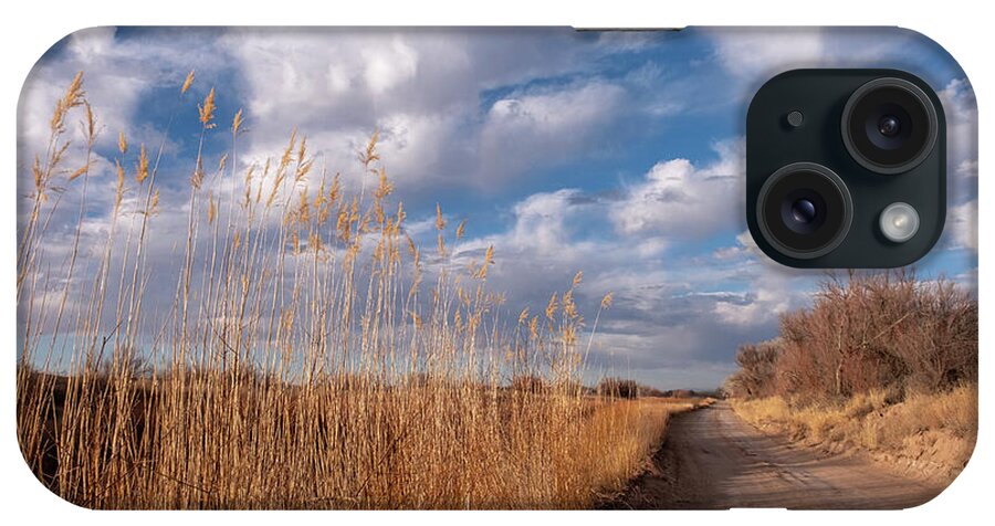 New Mexico iPhone Case featuring the photograph Dirt Road near Abeytas New Mexico by Mary Lee Dereske