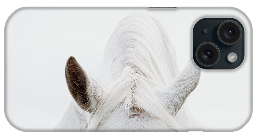 Photographs iPhone Case featuring the photograph Divided Attention - Horse Art by Lisa Saint