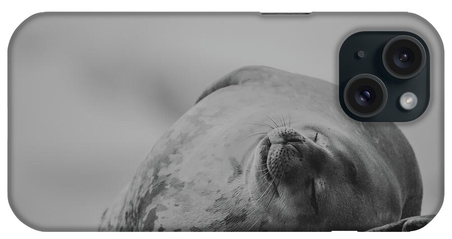 03feb20 iPhone Case featuring the photograph Do Not Awaken - Makes Me Crabby BW by Jeff at JSJ Photography