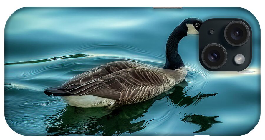 Vivid iPhone Case featuring the photograph Dodge and Burn Goose by Rob Green