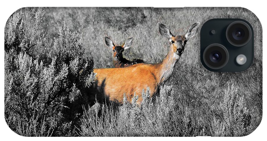 Doe And Fawn iPhone Case featuring the digital art Doe and fawn by Fred Loring