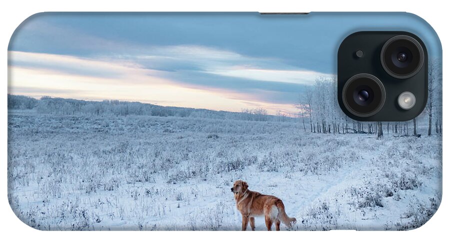 Dog iPhone Case featuring the photograph Dog in an Alberta winter pasture by Phil And Karen Rispin