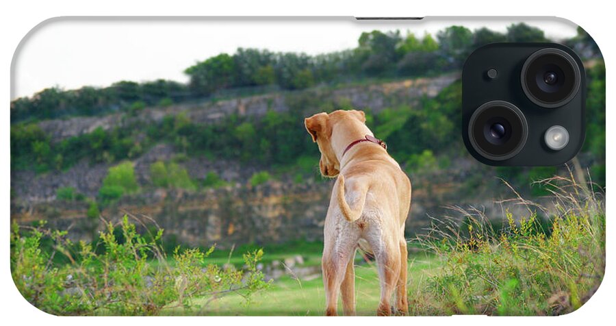 Dogs iPhone Case featuring the photograph Doggie Adventure by Renee Spade Photography