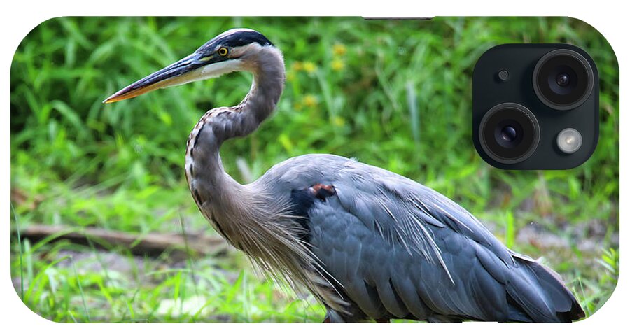 Blue Heron iPhone Case featuring the photograph Doing The Heron Hustle by Scott Burd