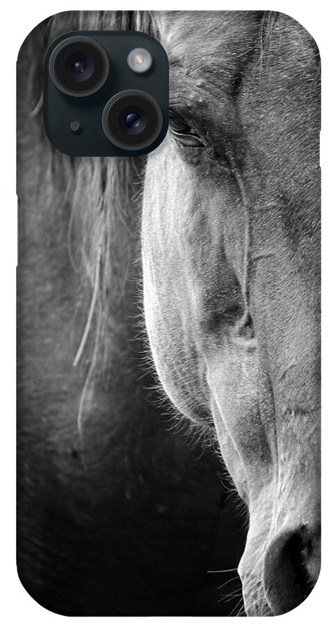 Animal iPhone Case featuring the photograph Domestic Horse portrait by Mike Fusaro