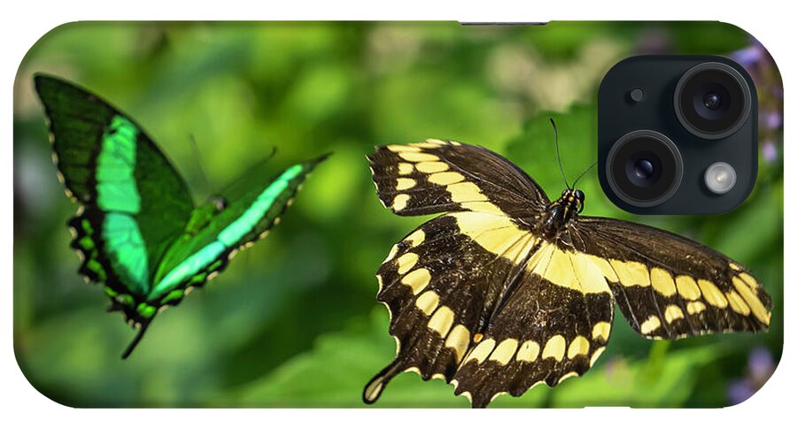 Swallowtail iPhone Case featuring the photograph Double Beauty by Laura Hedien