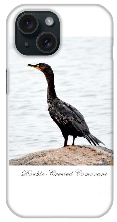 Bird iPhone Case featuring the photograph Double-Crested Comorant by Dianne Morgado