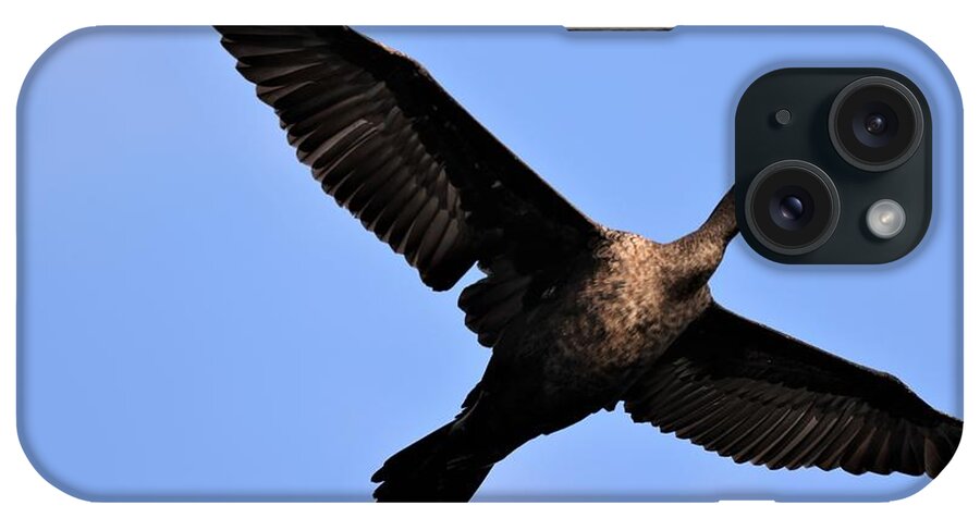 Bird iPhone Case featuring the photograph Double Crested Cormorant in Flight by Mingming Jiang