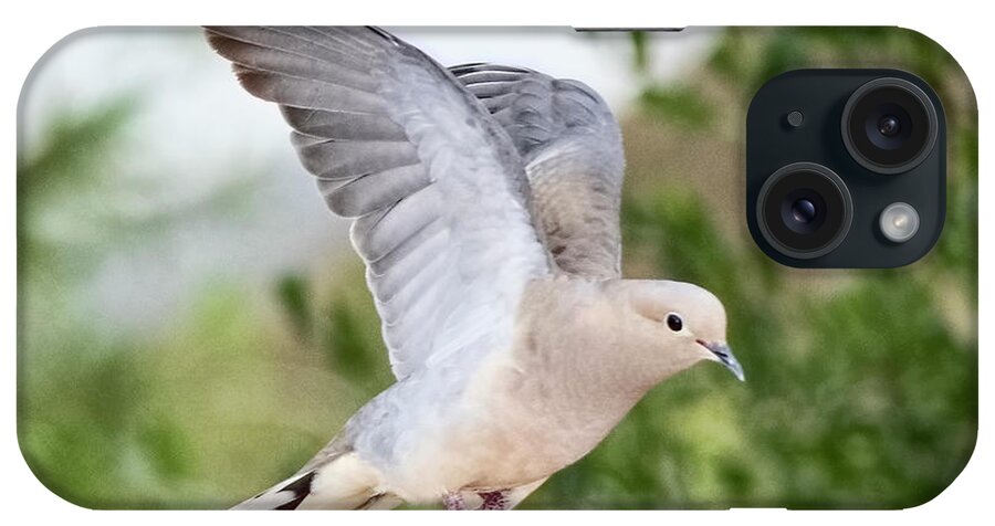 Dove iPhone Case featuring the photograph Dove in Flight by Dan McGeorge