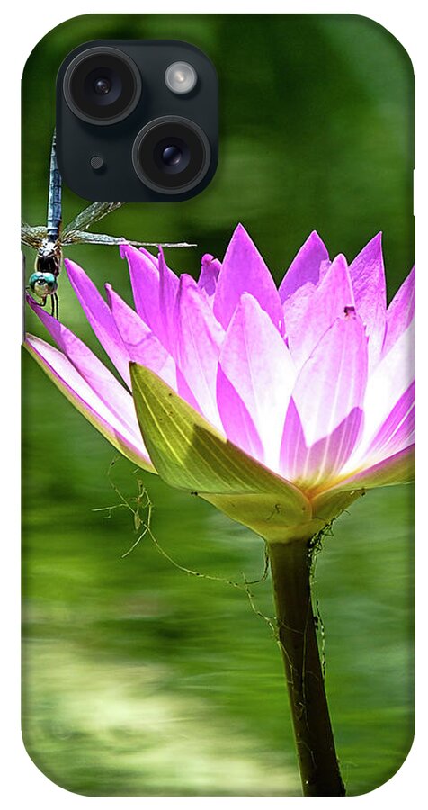 Dragonfly iPhone Case featuring the photograph Dragon and Lily by Bill Barber