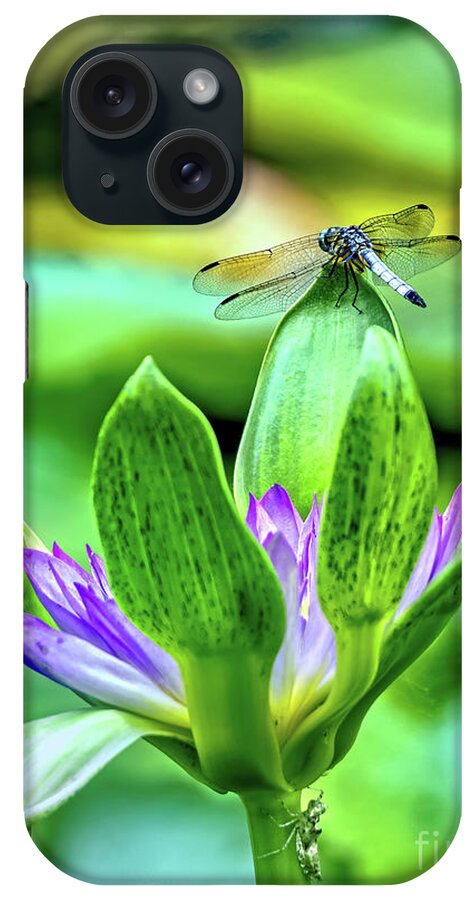 Macro iPhone Case featuring the photograph Dragon Fly and Grass Hopper by Tom Watkins PVminer pixs