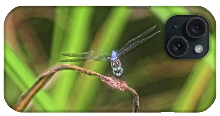 Insects iPhone Case featuring the photograph Dragonfly in Central Park by Patricia Youngquist