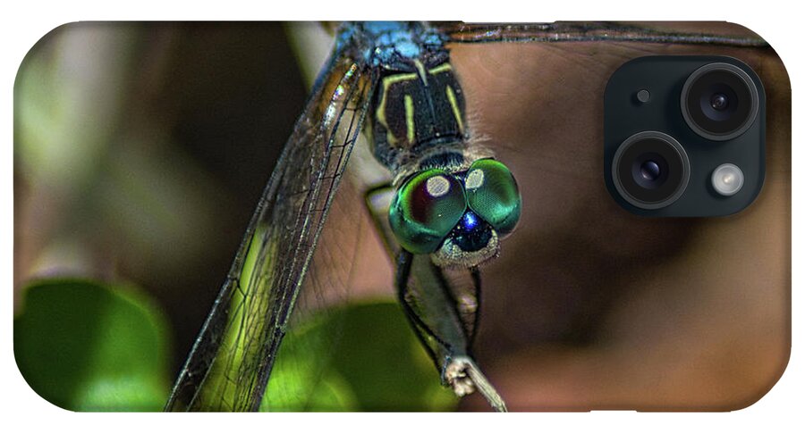 Insect iPhone Case featuring the photograph Dragonfly Spirit by Portia Olaughlin