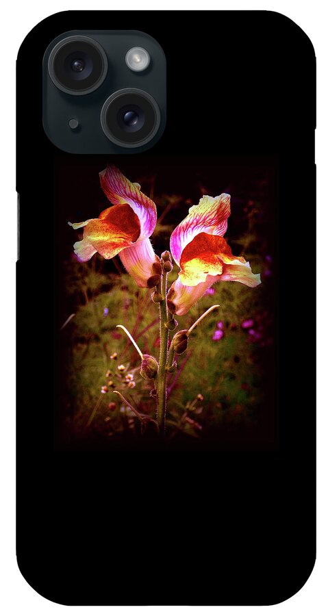 Snapdragon iPhone Case featuring the photograph Dragons in the Garden by Danielle R T Haney