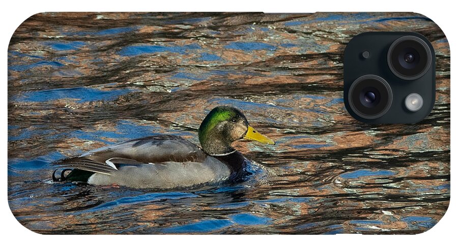 Duck iPhone Case featuring the photograph Drake's Colorful World by Linda Bonaccorsi
