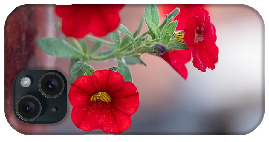 Flower iPhone Case featuring the photograph Draped in Red by Linda Bonaccorsi