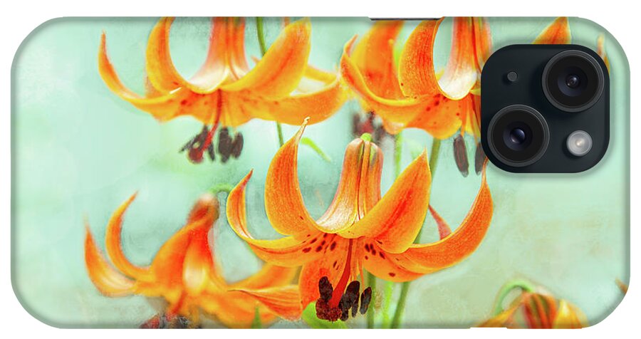 Gardens iPhone Case featuring the photograph Dreams Come True by Marilyn Cornwell