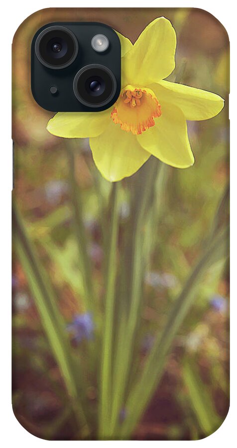 Dreamy Daffodil iPhone Case featuring the photograph Dreamy Daffodil by Carrie Ann Grippo-Pike