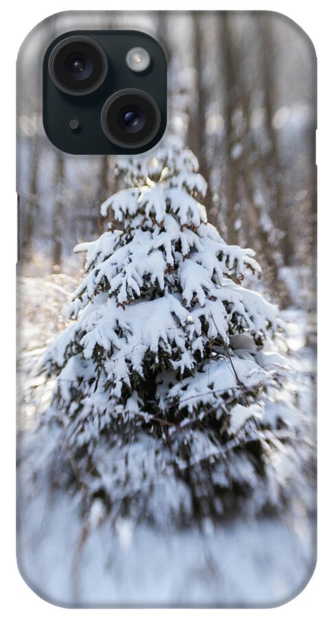 #evergreen #pinetree #snowcoveredevergreen #christmastree #woodlandtree #naturepreserve #evergreeninwinter iPhone Case featuring the photograph Dreamy Evergreen by Kimberly Mackowski