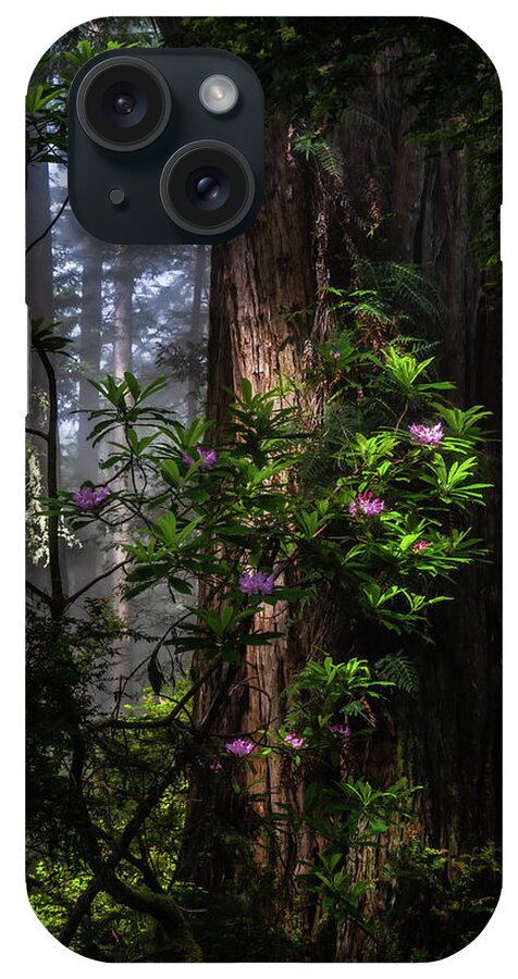 Landscape iPhone Case featuring the photograph Dreamy Redwoods by Chuck Jason