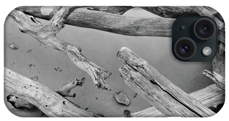 Beach iPhone Case featuring the photograph Driftwood 4, Big Talbot Island, 2006 by John Simmons