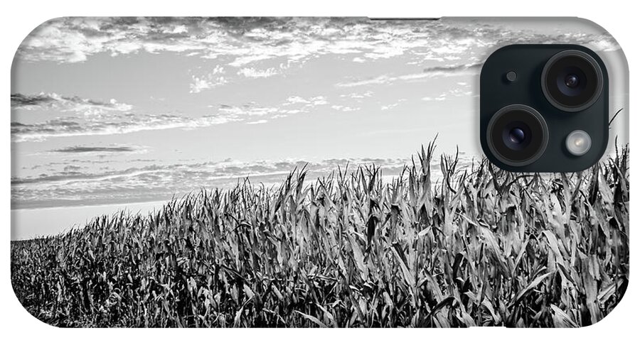 Agriculture iPhone Case featuring the photograph Dry Corn Field Crop by Mike Fusaro