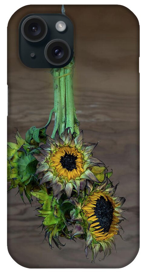 Wiling Flower iPhone Case featuring the photograph Drying out sunflowers by Alessandra RC