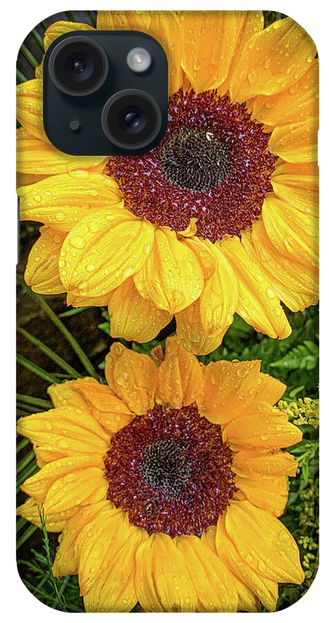 Flower iPhone Case featuring the photograph Dual sunflowers by Jim Feldman