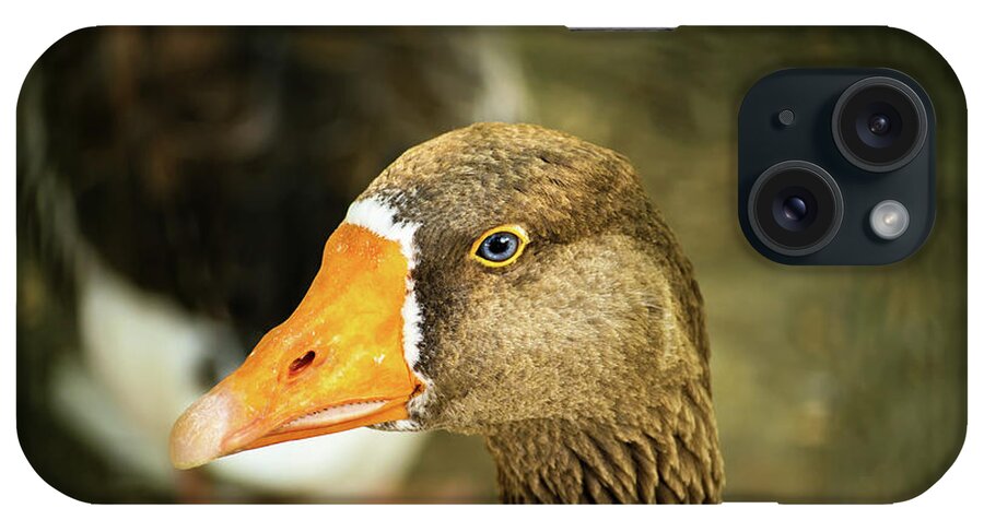 Duck iPhone Case featuring the photograph Duck face by Mendelex Photography
