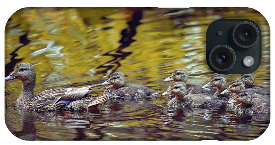 Mallard iPhone Case featuring the photograph Duck Family by Michael Rauwolf