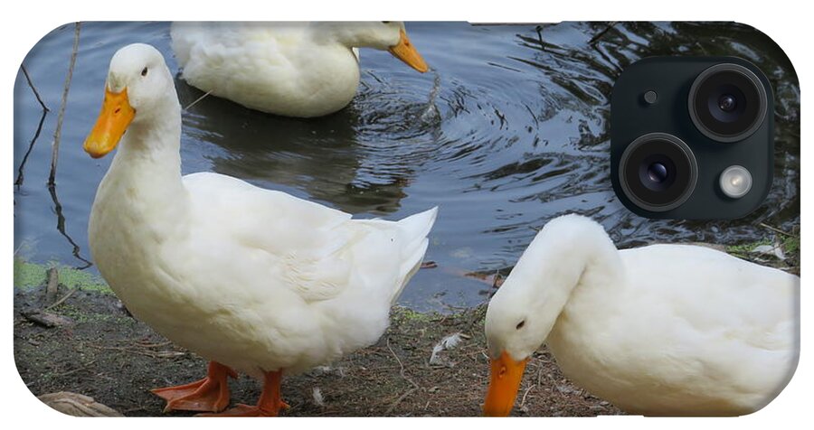 Ducks iPhone Case featuring the photograph Duck Family by Raymond Fernandez