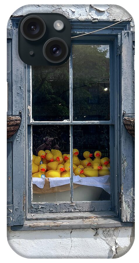 New Hope iPhone Case featuring the photograph Duck Window by David Letts