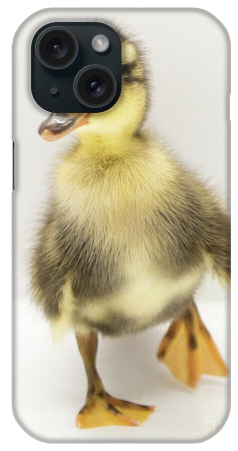 Ducks iPhone Case featuring the photograph Duckie 2 by Cheryl McClure