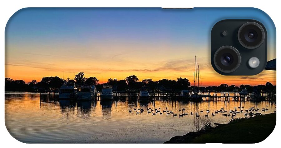 Ducks iPhone Case featuring the photograph Ducks at Dusk by Chris Montcalmo