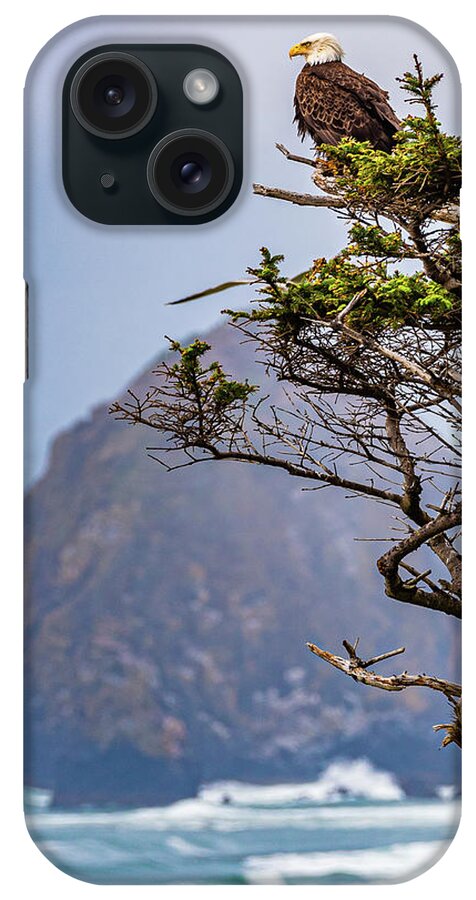 Oregon iPhone Case featuring the photograph Eagle at Haystack Rock by Erin K Images