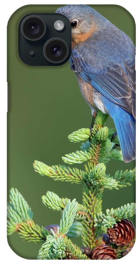 Nature iPhone Case featuring the photograph Eagle Eyes by Gerry Sibell