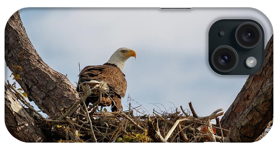 Eagles iPhone Case featuring the photograph Eagles 2020 by Les Greenwood
