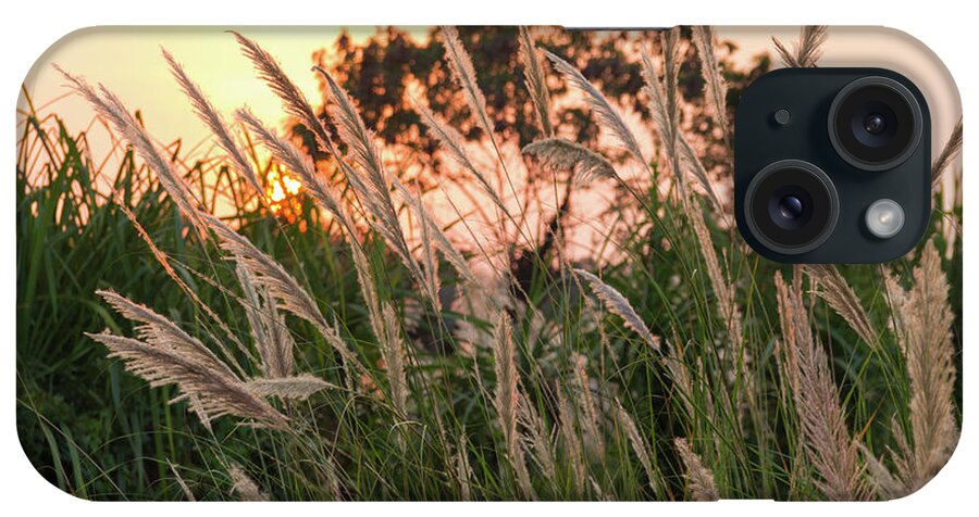 Pampas Grass iPhone Case featuring the photograph Earth Essence by Josu Ozkaritz