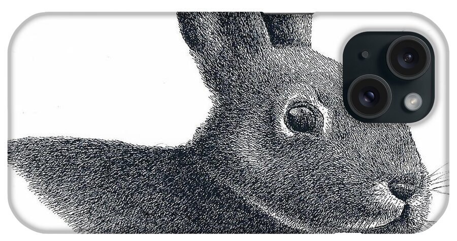 Rabbit iPhone Case featuring the drawing Eastern Cottontail Rabbit by Lee Pantas