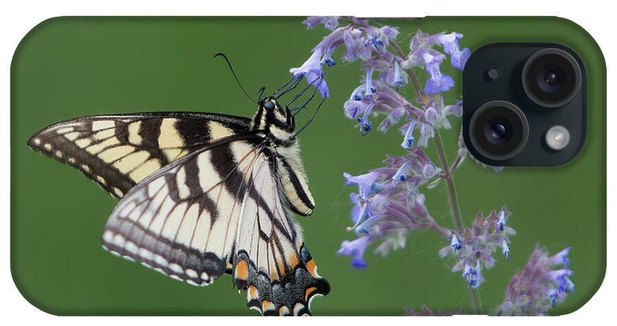 Butterfly iPhone Case featuring the photograph Eastern Tiger Swallowtail Profile by Patti Deters