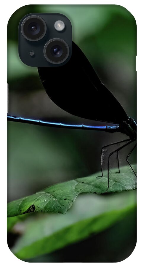 Ebony Jewelwing iPhone Case featuring the photograph Ebony Jewelwing by Flees Photos
