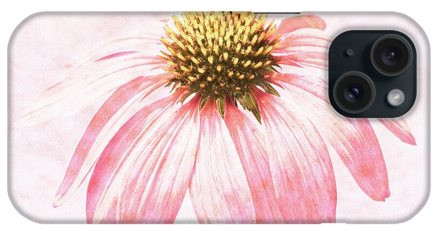 Coneflower iPhone Case featuring the photograph Echinacea #2 by Tanya C Smith