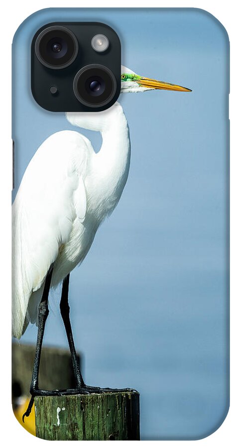 Egret iPhone Case featuring the photograph Egret on Pilling by Fran Gallogly
